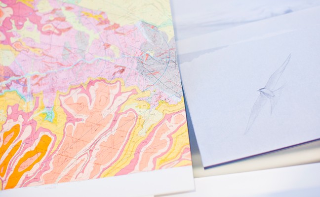 Close-up of a topographical illustration as well as hand drawn sketch of bird.