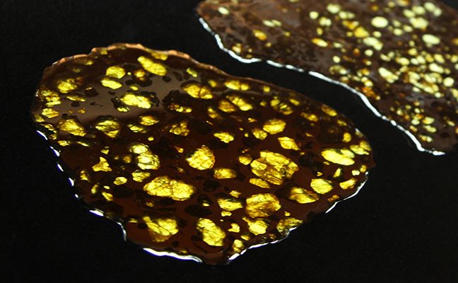 pallasite meteorites from Schlazer Collection